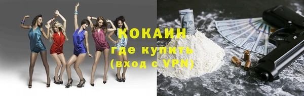 дурь Алексин