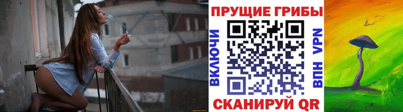 Галлюциногенные грибы Magic Shrooms Приозерск